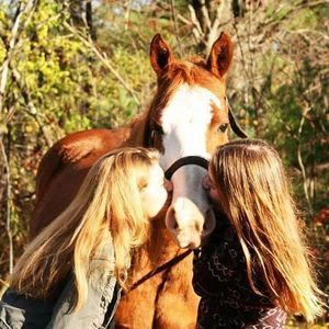 Meet your Posher, Josi